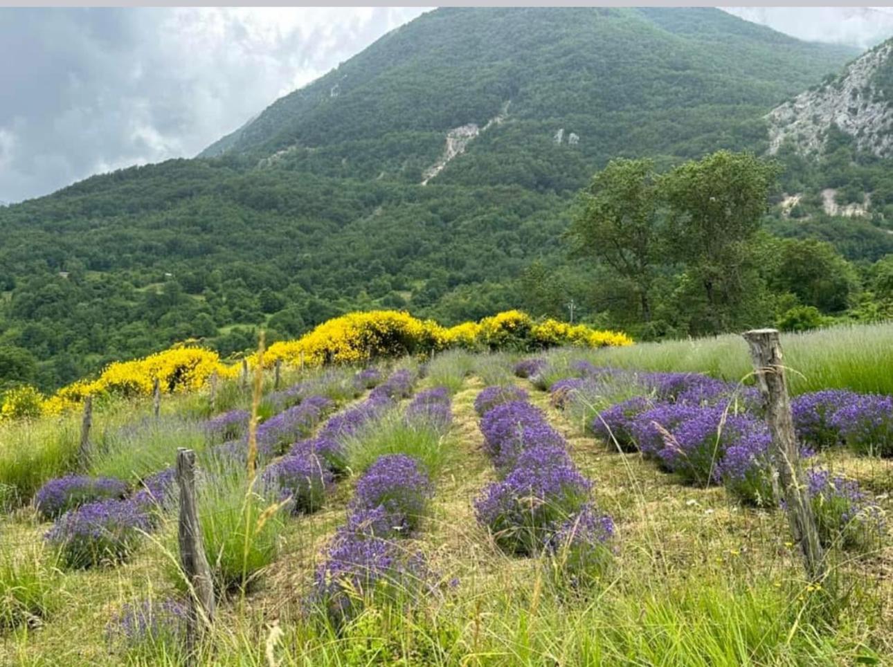 Mariella Vernile Civitella Roveto エクステリア 写真
